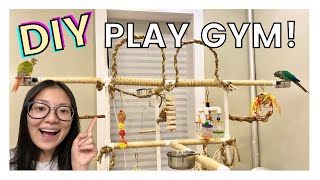 DIY BIRD PLAY GYM/STAND | Easy and Affordable PVC Play Gym For Birds!