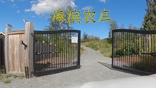 海滨农庄建设S1: EP1平整临时房车营地