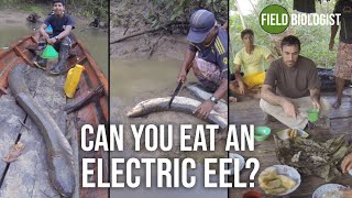 Can you eat an electric eel?