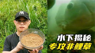 又見識了壹款自制神餌，竟然比單開鴨飼料還厲害，水下結果很明顯