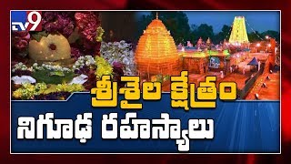 Srisailam Temple unknown facts - TV9 Exclusive coverage