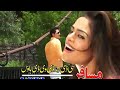 STA PA KHANDA KI MAZA | PASHTO HD SONG | SHAH SAWAR & SOBIA KHAN | PASHTO HD FILM LOVE STORY SONG