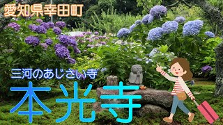 【愛知県幸田町】本光寺であじさいに癒されました【あじさい寺】