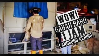 GABAH BASAH 1 JAM KERING DAN SUDAH JADI BERAS | PANEN PADI DI JEPANG PART 2