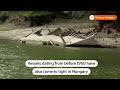 nazi ships emerge from the danube as water levels drop reuters