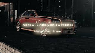 Insane X Tu Aake Dekhle X Peaches (Mashup) | AP Dhillon | King | Justin Bieber