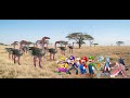 wario u0026 friends dies by enraged flock of north african ostriches in the savanna