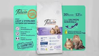 Felicia Pet Food  | Felicia Mama | Kolaymama