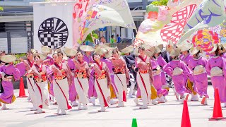 [4K] 粟津おすえべ花吹雪　YOSAKOIソーラン日本海 加賀会場 2019