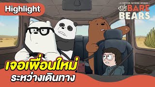 เจอเพื่อนใหม่ระหว่างเดินทาง | สามหมีจอมป่วน | Boomerang CN Thailand