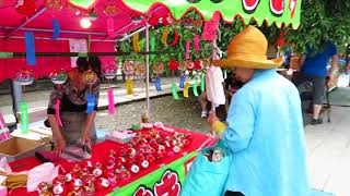 Hozuki Market at Sensoji Temple in Asakusa 2019 Part 2