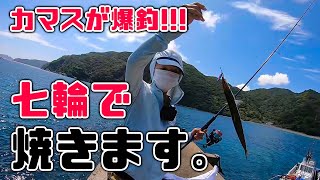 【カマス釣り】やっと爆釣！新鮮カマスを七輪で塩焼き！野良猫も集まるw