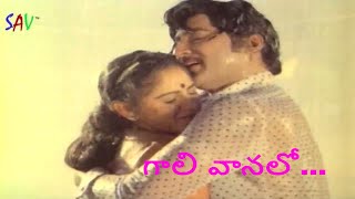 Gaali Vaanalo Telugu Full Song | Swayamvaram Telugu Movie songs | Shoban Babu |Jayaprada