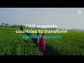 FAO and the Green Climate Fund