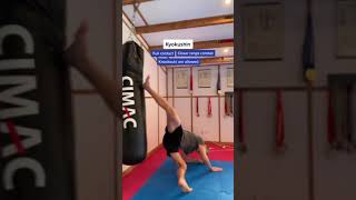 Kyokushin vs sport karate