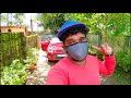 fungus in my car കാറിനുള്ളിൽ മഴുവൻ ഫംഗസ് car cleaning tips kochi vlogger 10