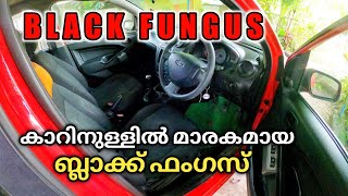 Fungus in my Car കാറിനുള്ളിൽ മഴുവൻ ഫംഗസ് Car Cleaning Tips//KOCHI VLOGGER #10