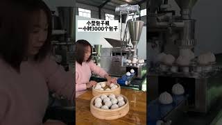 #包子机 一小时3000多个包子，体积小，移动灵活，做的包子外形美观口感好吃#zodiac #中国美食