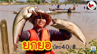 ยกยอ หนอง300,000  ►Fishing lifestyle Ep.230