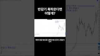 반감기폭락이 무섭다?#shorts