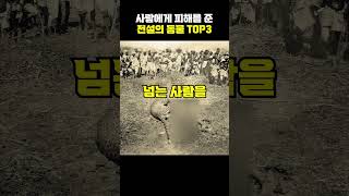 가장 많은 피해를 준 전설의 동물 top3