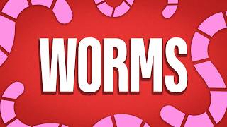 Computer Worms Explained | Security+ SY0-701