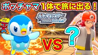 【ポケモン】ポッチャマ1体で初のジムリーダーに挑戦！ライバルとも白熱バトル！【ポケットモンスターブリリアントダイヤモンド#2】｜アルセウス発売｜Pokemon｜知育アプリ・ゲーム実況｜ネオスキッズTV