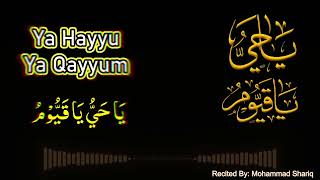 Ya Hayyu Ya Qayyum | Best Relaxing Sleep | Listen Daily #zikrseries #zikr