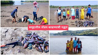 समुद्रकिनाऱ्यावरील तोडय कशा काढायच्या ? तोडय म्हणजे काय? #koknatil_masemari #konkan_fishing