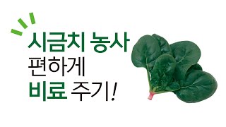 시금치 농사, 편하게 비료 주기! ㅣ광분해 한번에아리커 ㅣ 팜한농