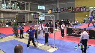 ITF Taekwon-Do Special Technique