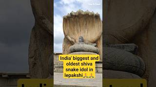 India's biggest shiva snake idol in lepakshi🙏🙏 #ytshorts #trendingshorts #viral #lordshiva #shorts