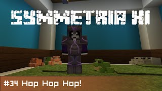 Symmetria 11 - #34 : Hop Hop Hop!