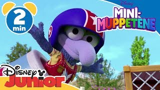 Mini-Muppetene | Møt Gonzo 🚀- Disney Junior Norge