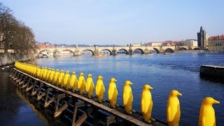 360 VR Tour | Prague | Statues & monuments | Harmony | Yellow Penguins | Swallow | No comments tour