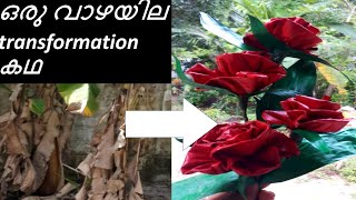 ഒരു വാഴയില  transformation കഥ | A banana leaf transformation story