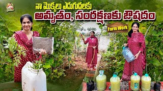 Farm Work/ ఇవాళ ఫార్మ్ లో చేసిన పనులు @MADGARDENER