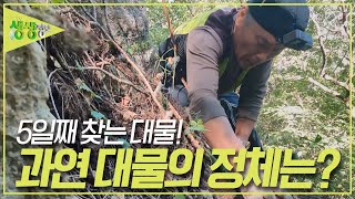 대물 사냥꾼들이 5일째 찾고 있는 대물의 정체는? [2TV 생생정보] KBS 230907 방송