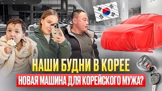 Наши будни в Корее/муж выбирает новую машину/готовимся к Новому Году