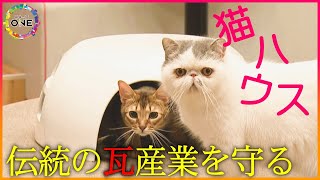 6万円と高価も200点以上売れる…瓦メーカーがネコ用の小屋『瓦猫』で切り開く未来 需要減るなかアイデアで勝負