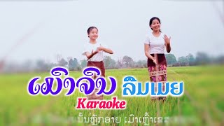 ເມົາຈົນລືມເມຍ-Karaoke / เมาจนลืมเมีย-Karaoke-ໄຊຊະນະ ດອກຫຍ້າ