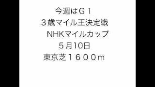 競馬道調教マスターでNHKマイルカップの勝ち馬を探す