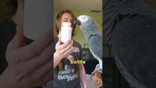 This Parrot Knows his B-Words 😳