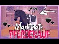 Wir KAUFEN ein PFERD 🐴 auf dem MARKTPLATZ 💸✅ Equestrian the Game