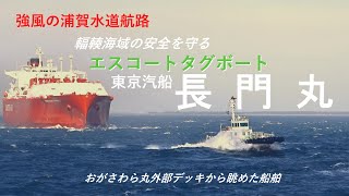 【船】強風の浦賀水道航路を航行するエスコートタグボート「長門丸」