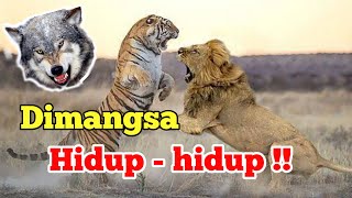 Predator Ganas, ketika memangsa buruanya Hidup2 || RILS Info #predator #hewan #buas #wildlife