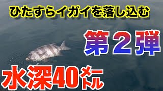 『チヌ釣り遠征番外編』イガイをひたすら落し込む（水深40m）第２弾