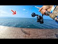 This Pier Catch Will Make Some People Angry! Oops!