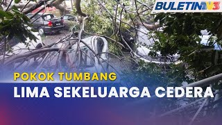 POKOK TUMBANG | 7 Kenderaan Kena Hempap, Lima Sekeluarga Antara Mangsa