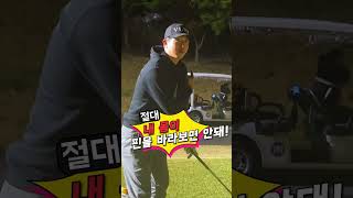 골프 에이밍(방향 설정)하는 꿀팁 ⛳️ l 일상골프 티샷